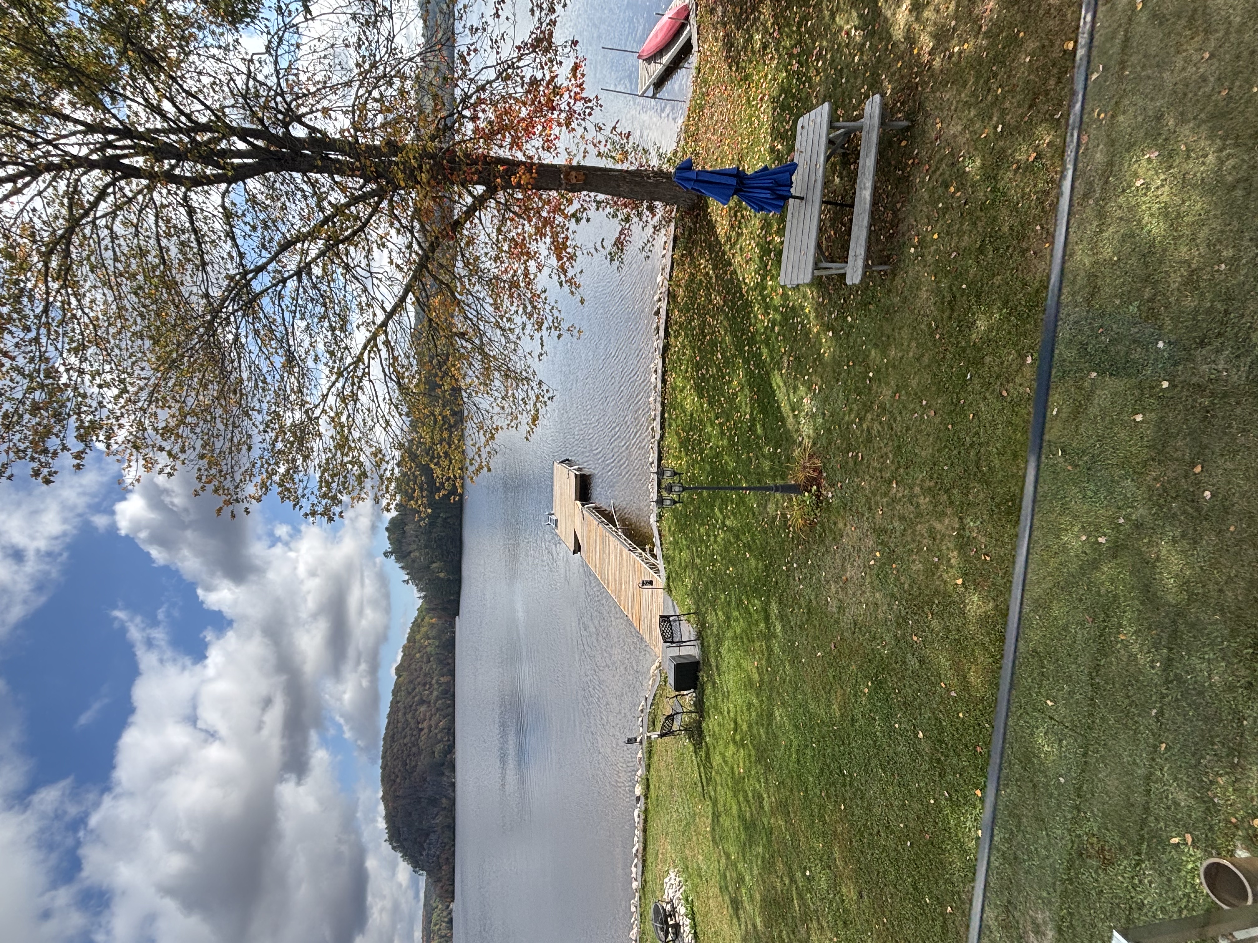 Pathway through trees toward the lake