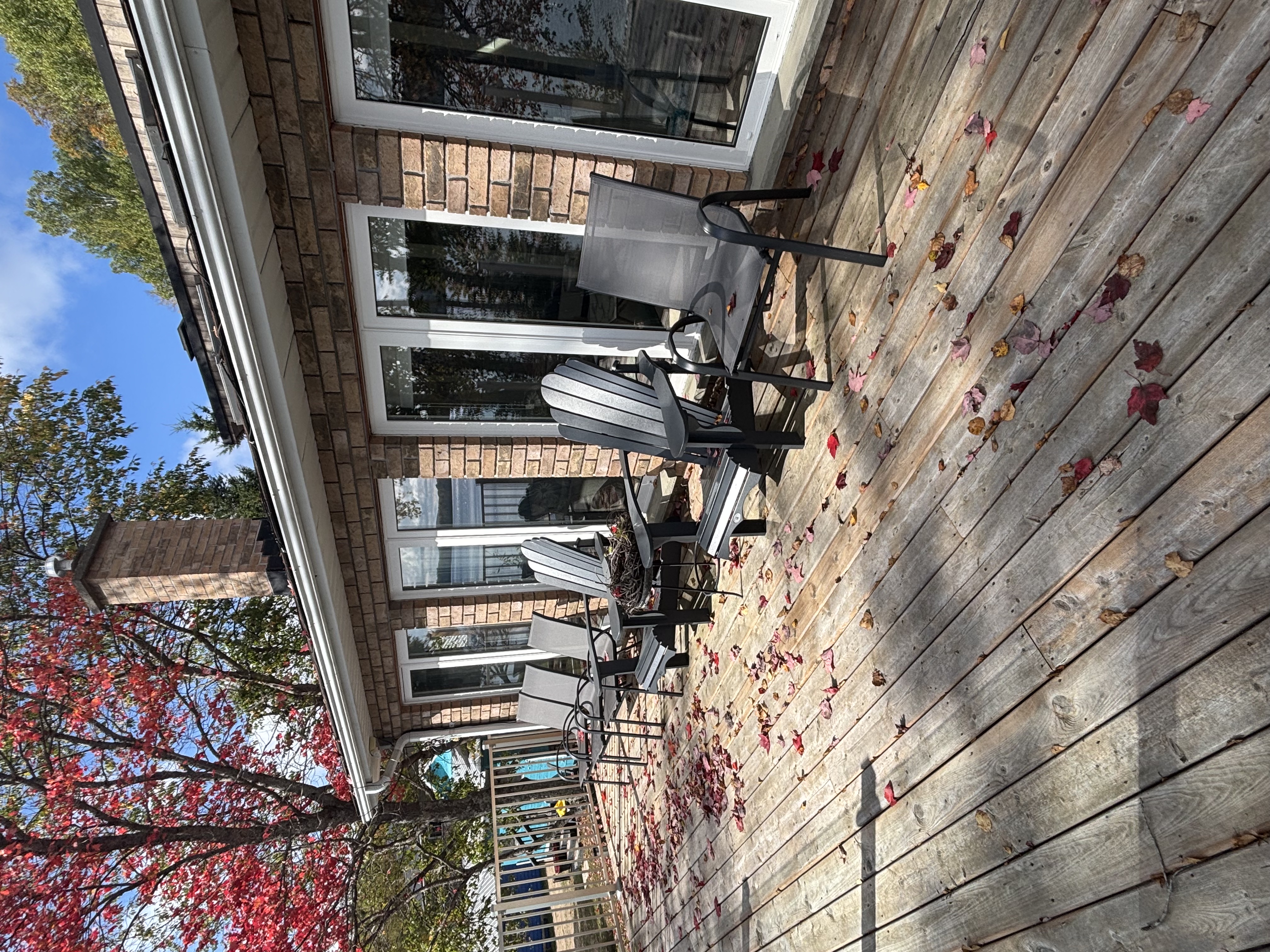 Firepit gathering under the stars